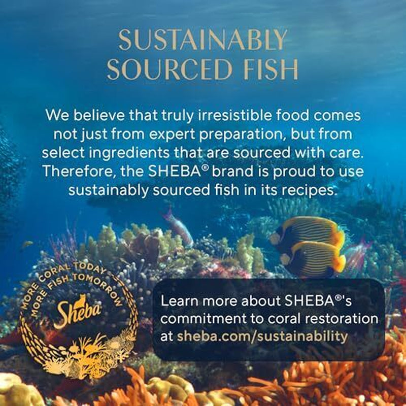 Sheba Perfect Portions Wet Cat Food Pate Roasted Turkey 24 Twin Pack Trays