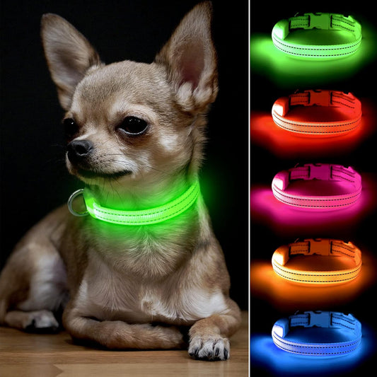 Adjustable LED Dog & Cat Collar - Rechargeable, Small Breeds, Green, 8.5-11.8 Inches, Nylon, Lightweight, Reflective, 2 Flash Modes