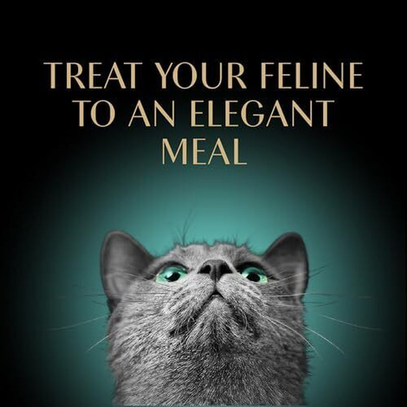 Sheba Perfect Portions Wet Cat Food Pate Roasted Turkey 24 Twin Pack Trays