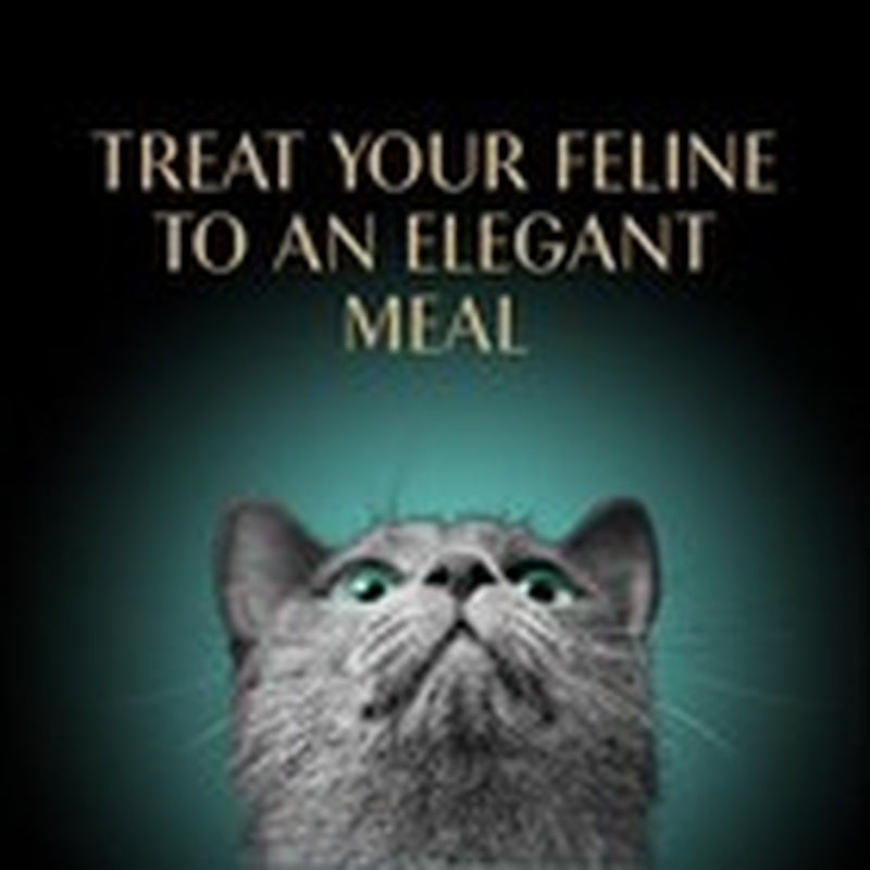 Sheba Perfect Portions Wet Cat Food Pate Roasted Turkey 24 Twin Pack Trays