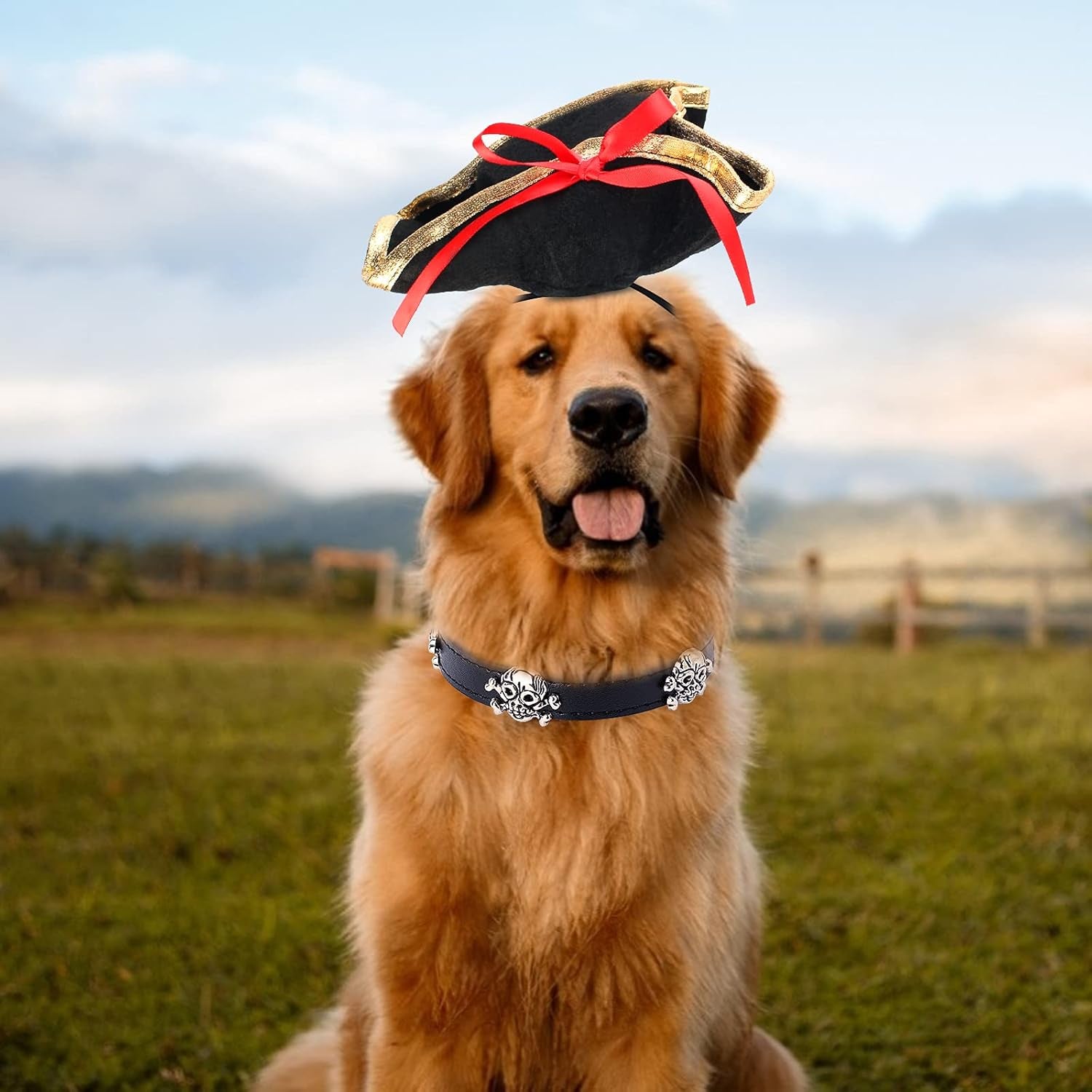 2 Pieces Pet Pirate Hat with Skull Studded Pet Leather Collar Pirate Cosplay Costume Accessories Photo Props for Cat Dog Puppy Halloween Dressing up (B)