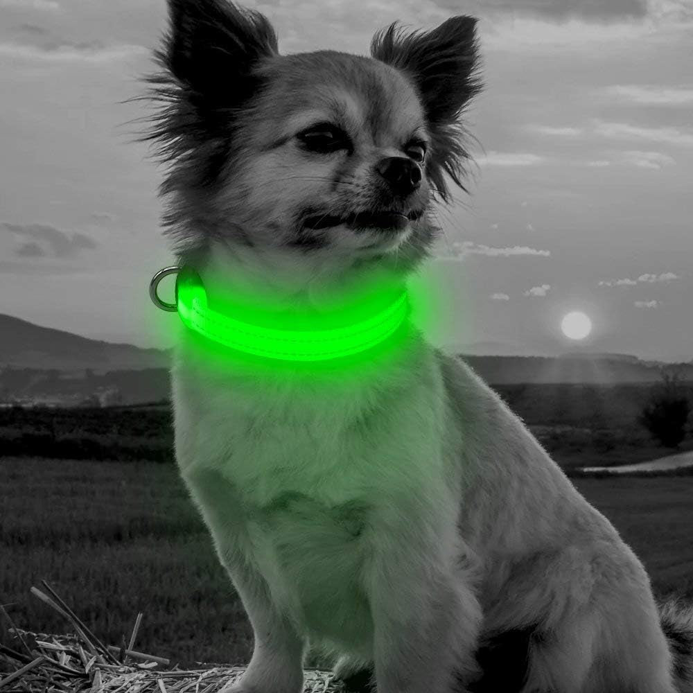 Adjustable LED Dog & Cat Collar - Rechargeable, Small Breeds, Green, 8.5-11.8 Inches, Nylon, Lightweight, Reflective, 2 Flash Modes