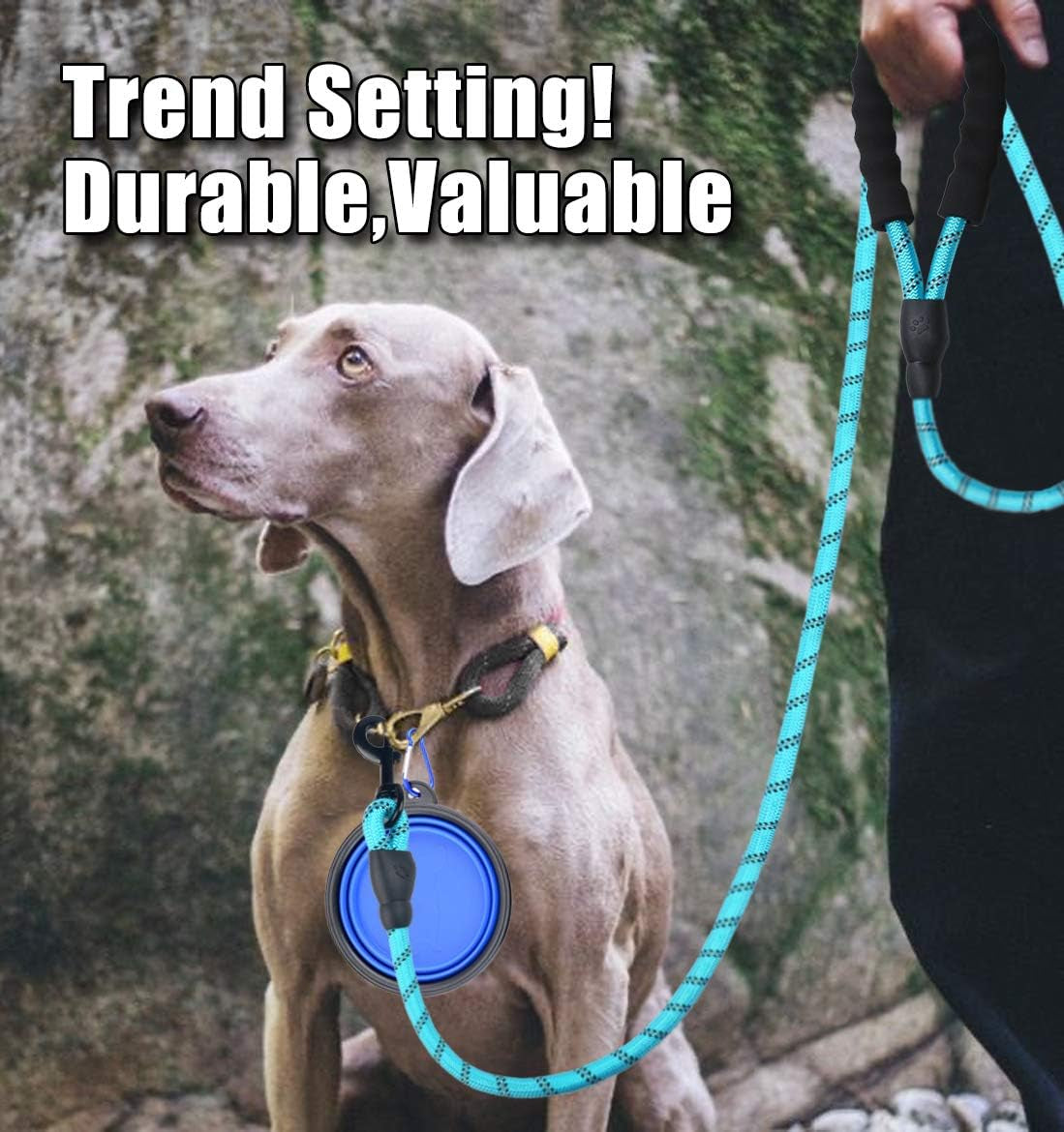 10FT Thick Durable Nylon Dog Rope - Comfortable Padded Handle Reflective Rope Leash for Medium Large Dogs with Collapsible Pet Bowl and Garbage Bags (Reflective, Blue)