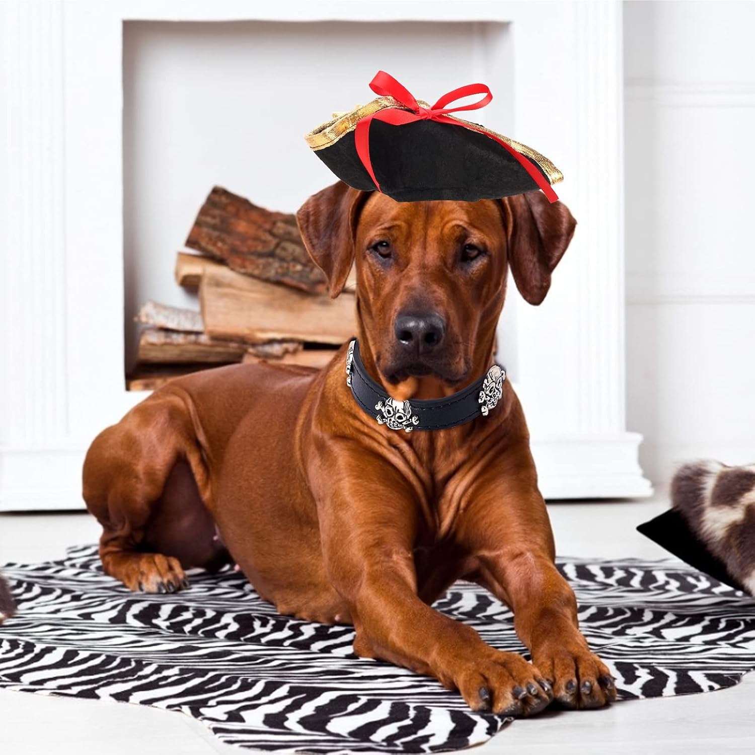 2 Pieces Pet Pirate Hat with Skull Studded Pet Leather Collar Pirate Cosplay Costume Accessories Photo Props for Cat Dog Puppy Halloween Dressing up (B)