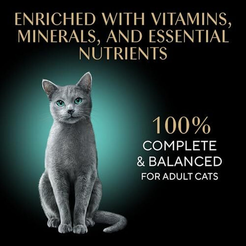 Sheba Perfect Portions Wet Cat Food Pate Roasted Turkey 24 Twin Pack Trays