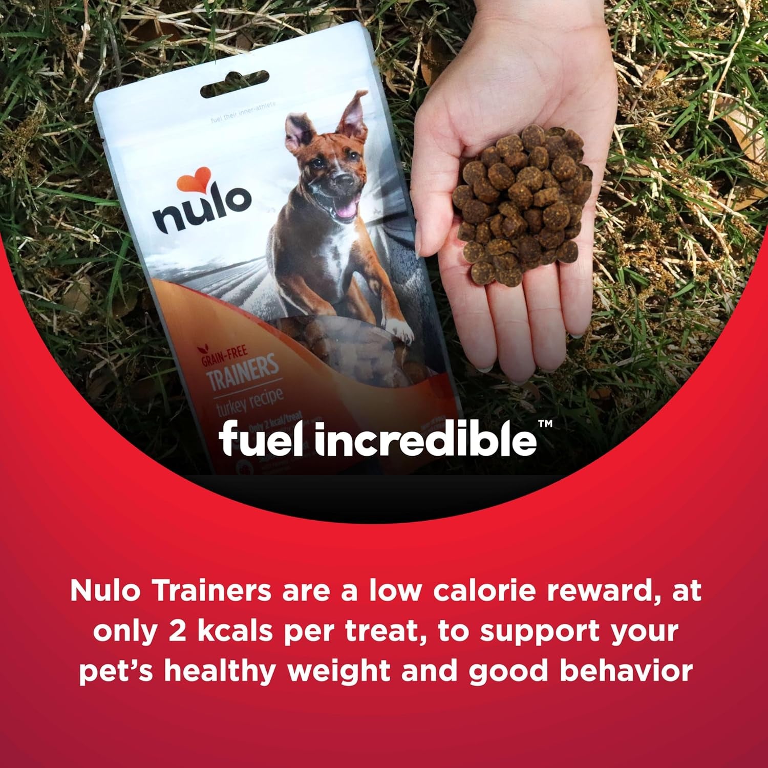 Duck Flavor Healthy Dog and Puppy Training Treats, 4 Ounce Pouch