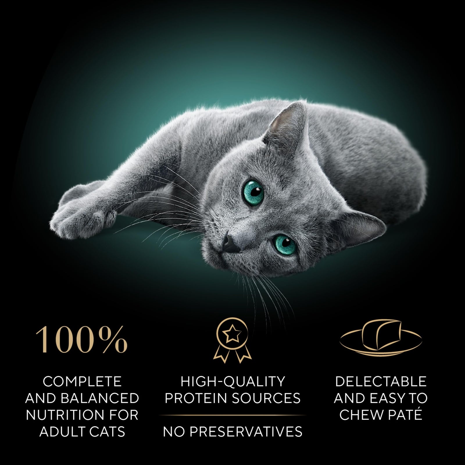 Sheba Perfect Portions Wet Cat Food Pate Roasted Turkey 24 Twin Pack Trays