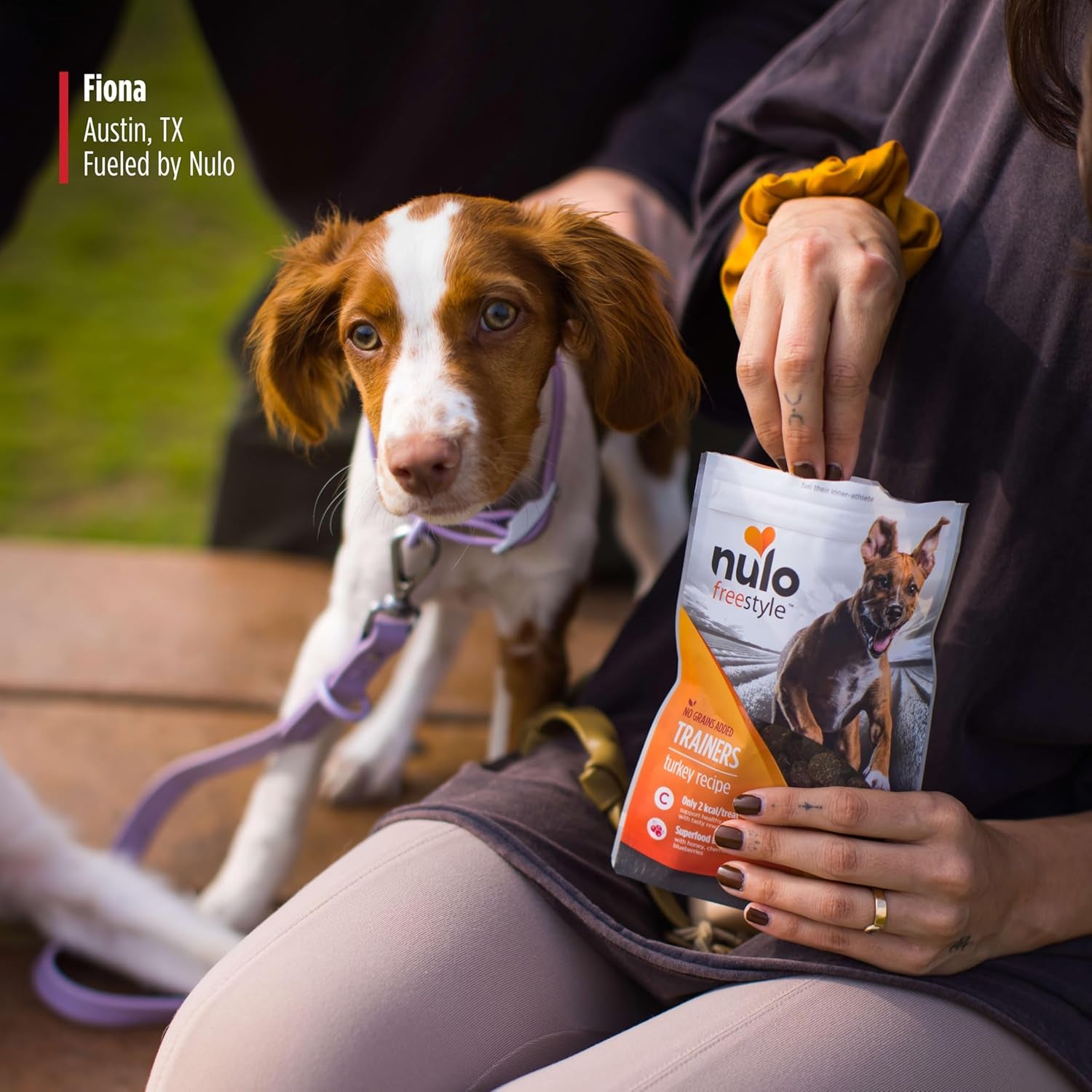 Duck Flavor Healthy Dog and Puppy Training Treats, 4 Ounce Pouch